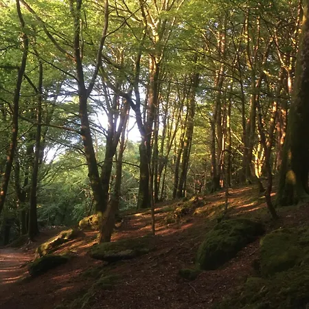 Bed & Breakfast Treganoon House, Lanlivery